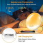 Wake Up Sunrise Simulation Alarm Clock